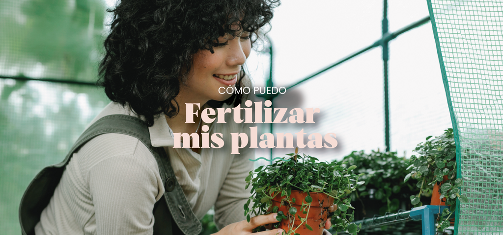 ¿Cómo fertilizo mis plantas?